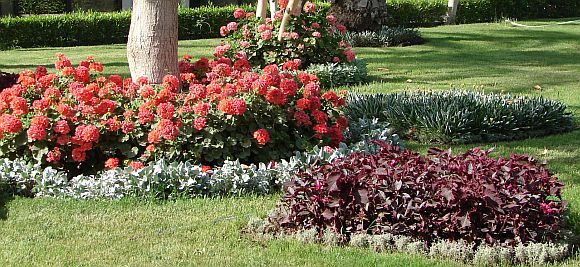 Hányszor akartam egybegyűjteni fiaidat, mint ahogy a tyúk szárnya alá gyűjti csibéit, de te nem akartad.