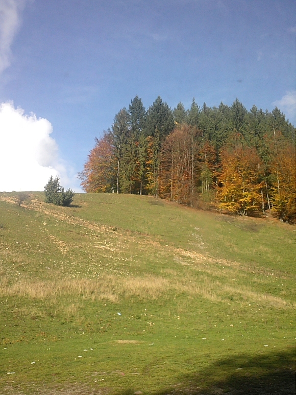 Aki tanít, annak nemcsak előírnia, hanem hordoznia is kell a közösség terheit.